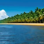 수리남과 유럽 국가들의 경제적 관계 - Here are three detailed image prompts in English, designed to be appropriate for a 15+ audience and ...