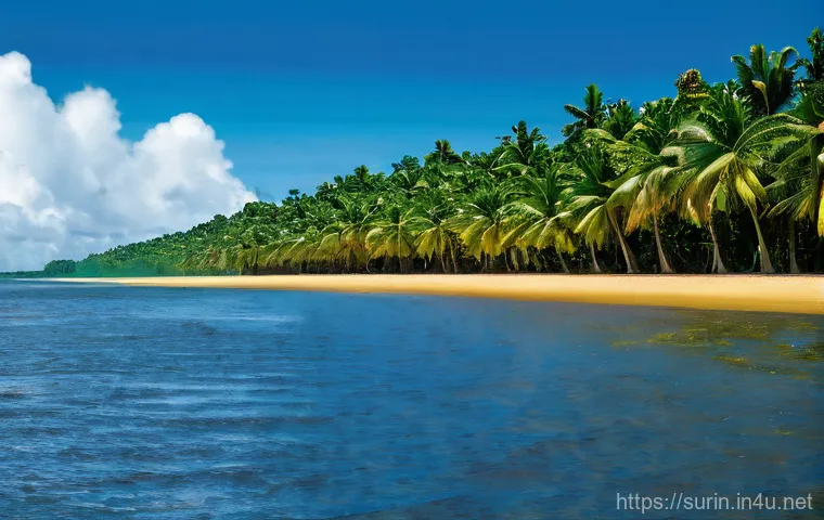 수리남과 유럽 국가들의 경제적 관계 - Here are three detailed image prompts in English, designed to be appropriate for a 15+ audience and ...